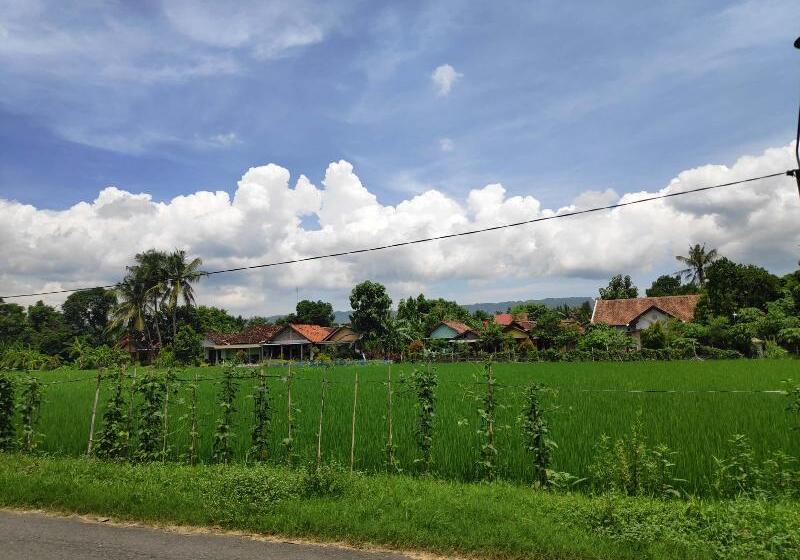 ペンション Gini Homestay