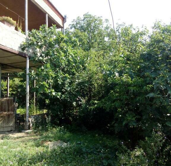 پانسیون House In The Forest