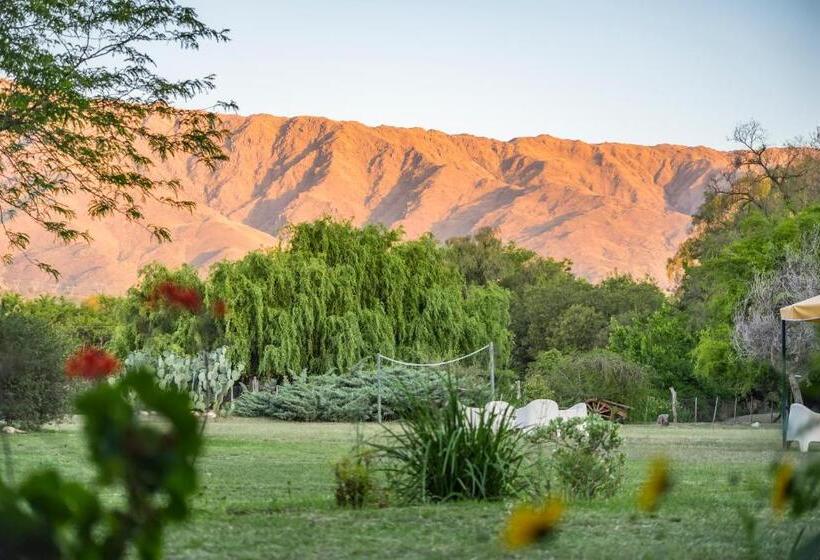 فندق صغير Posada El Pucara