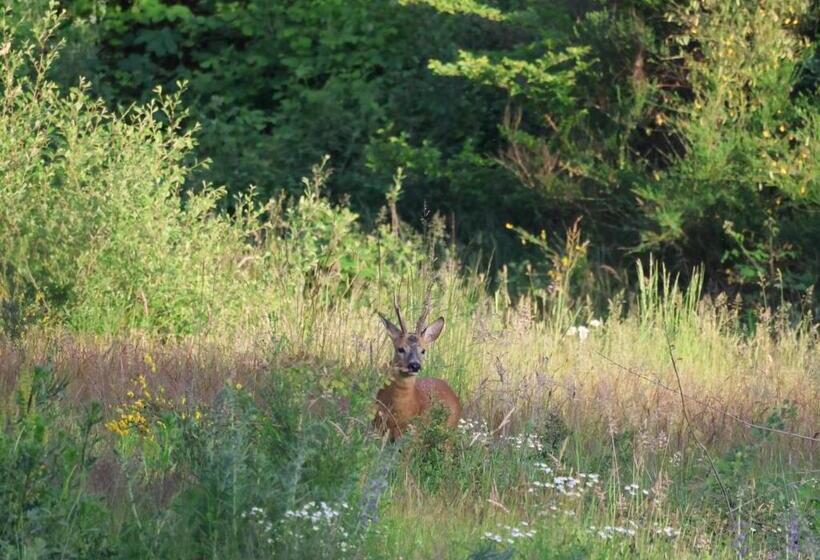צימר Château Des Périchons
