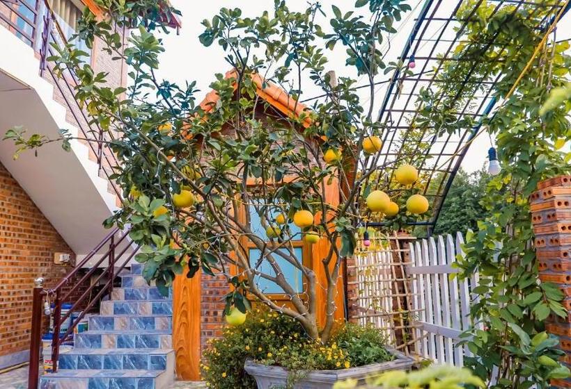 تختخواب و صبحانه Cosiana Homestay