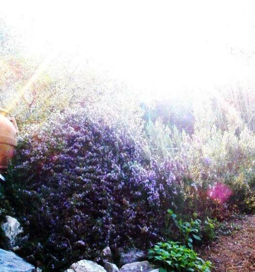 住宿加早餐  Di Luna E Di Sole