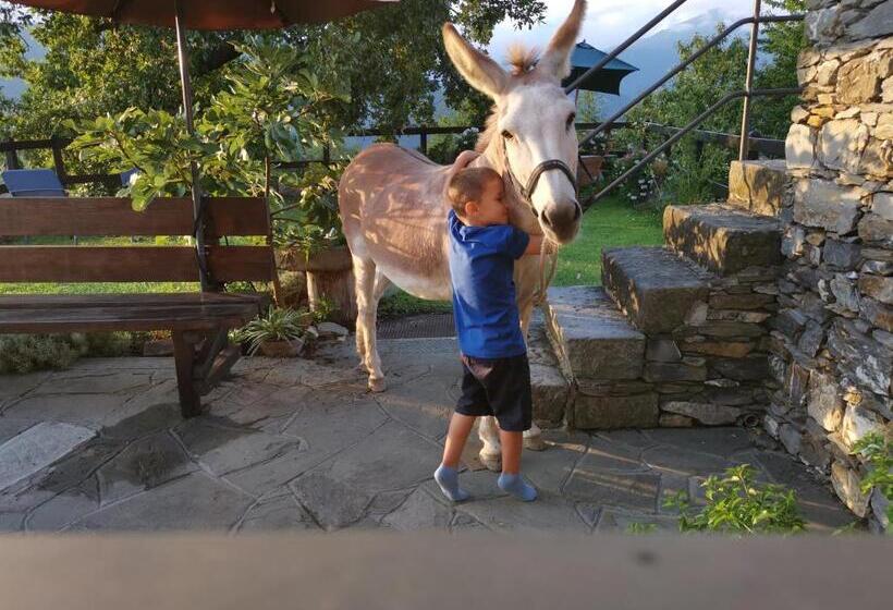 مبيت وإفطار Elsa House