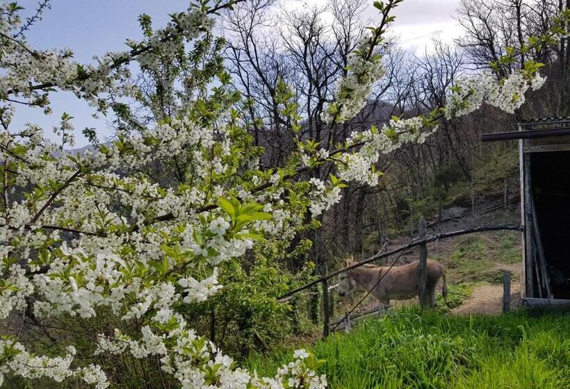 مبيت وإفطار Elsa House