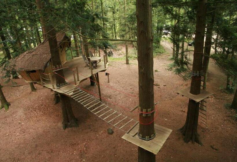 צימר Insolite Dans Les Arbres Les Ormes, Epiniac