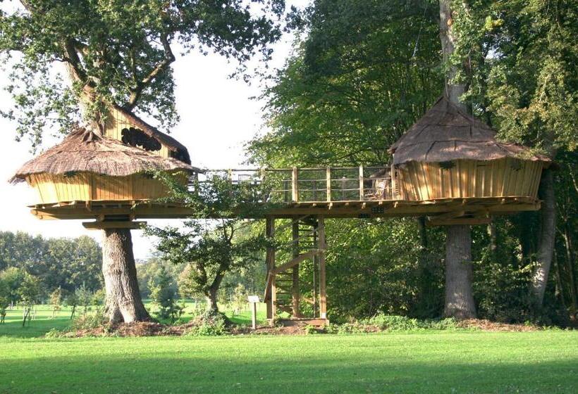 مبيت وإفطار Insolite Dans Les Arbres Les Ormes, Epiniac