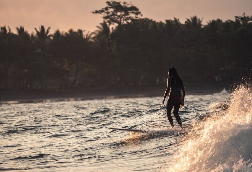 ベッドアンドブレックファースト Lagoona Beach Bungalows   Eco Bungalows Batukaras