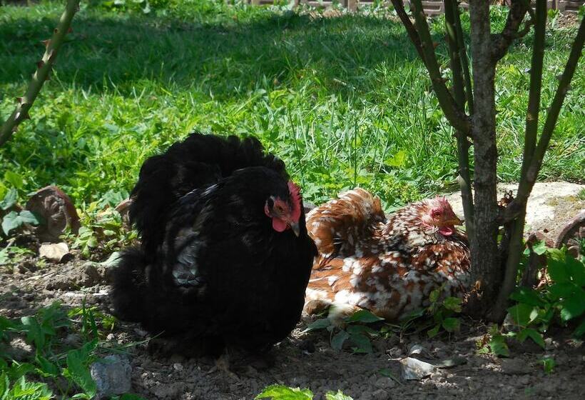 צימר Le Jardin, Chambres D Hôtes En Baie De Somme