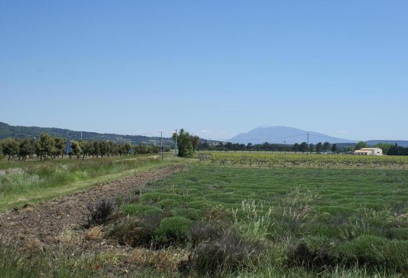 مبيت وإفطار Le Moulin De Montségur