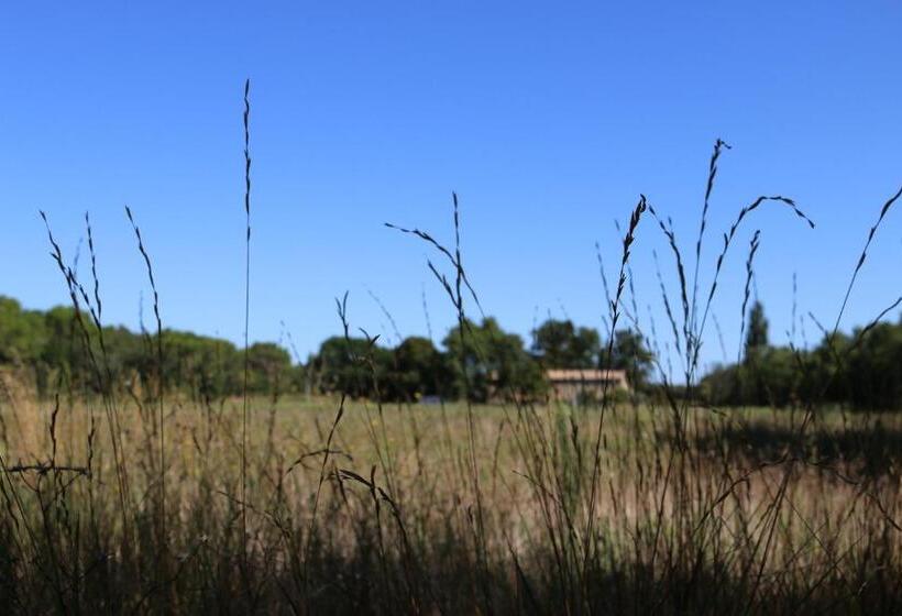 مبيت وإفطار Le Moulin De Montségur
