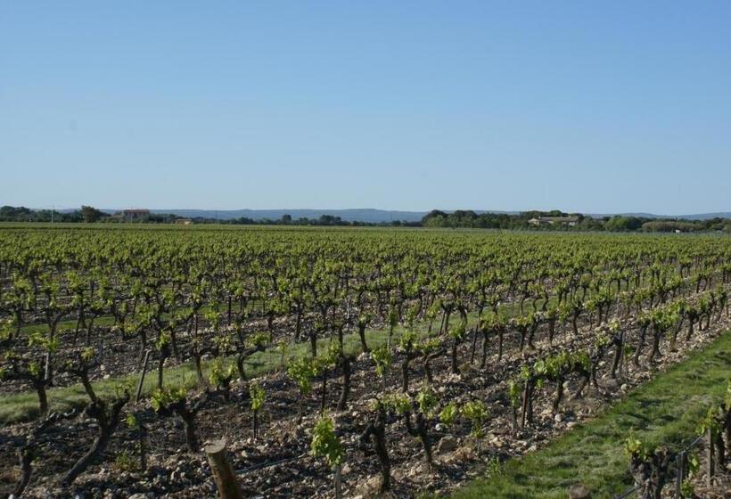 مبيت وإفطار Le Moulin De Montségur