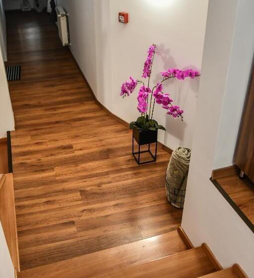 민박 é Vaskó Panzió Borpince