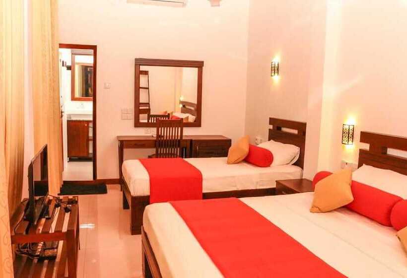 住宿加早餐 Vin Roma Inn