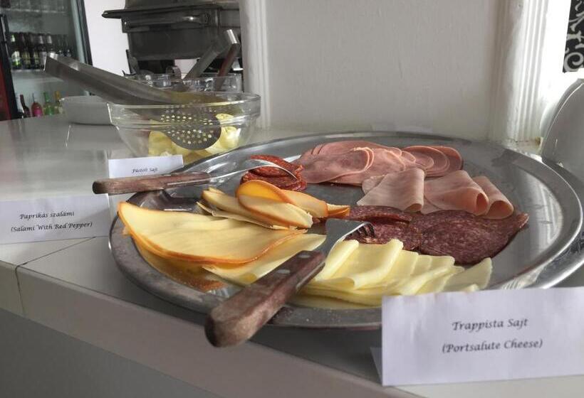 ベッドアンドブレックファースト Vulkán Wellness Panzió