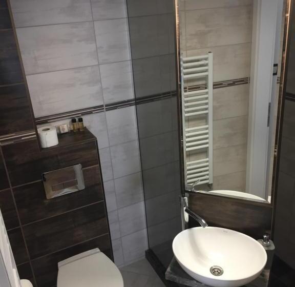 مبيت وإفطار Vulkán Wellness Panzió