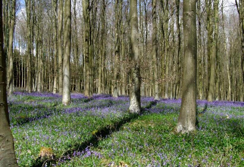 Chilgrove Farm Bed & Breakfast