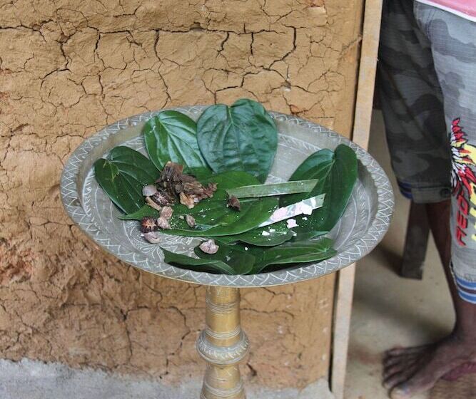 Grandmaa Cooking Trail   Hostel