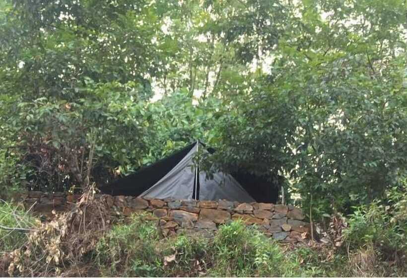 Grandmaa Cooking Trail   Hostel