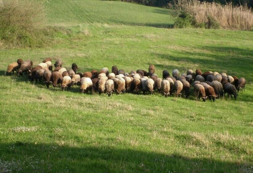 فندق Agriturismo Colle Verde