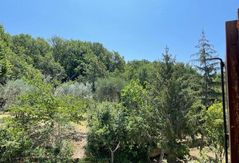 בית מלון כפרי Agriturismo Podere Chiassaie