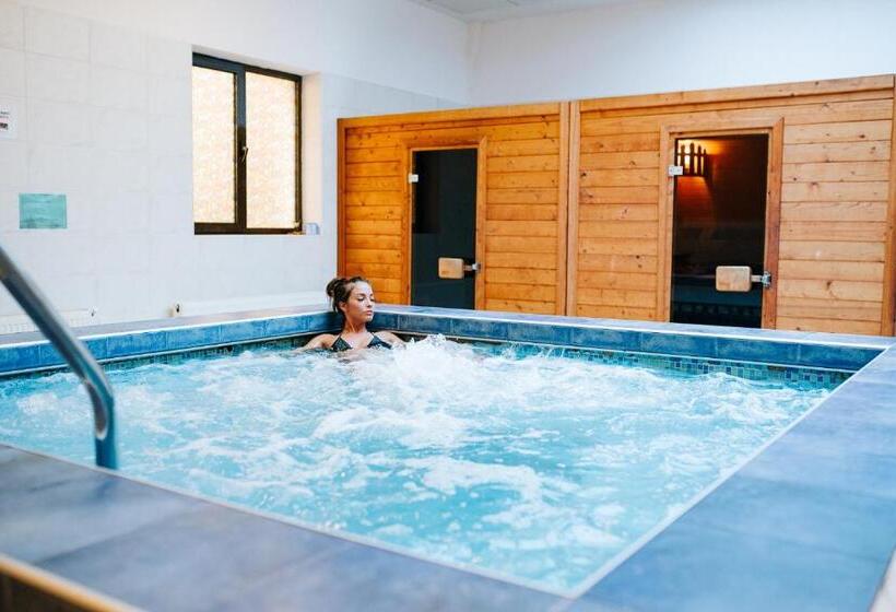 Отель Complex Balnear Cerbul