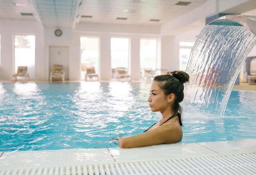 Отель Complex Balnear Cerbul