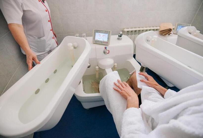 Отель Complex Balnear Cerbul