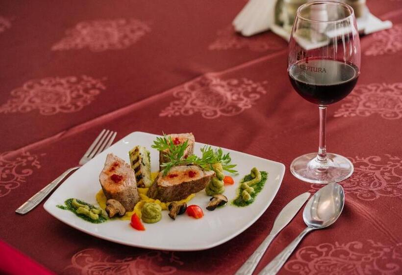 Отель Complex Balnear Cerbul