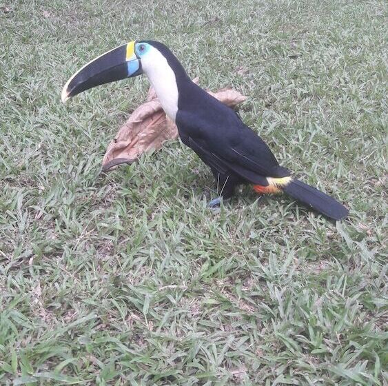 هتل Explorer Lodge