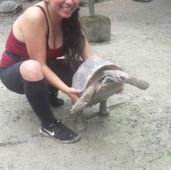 هتل Explorer Lodge