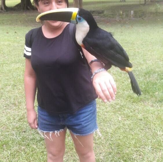 هتل Explorer Lodge