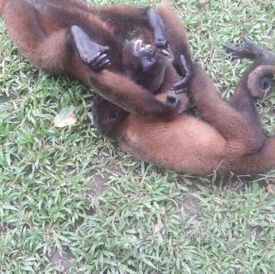 هتل Explorer Lodge