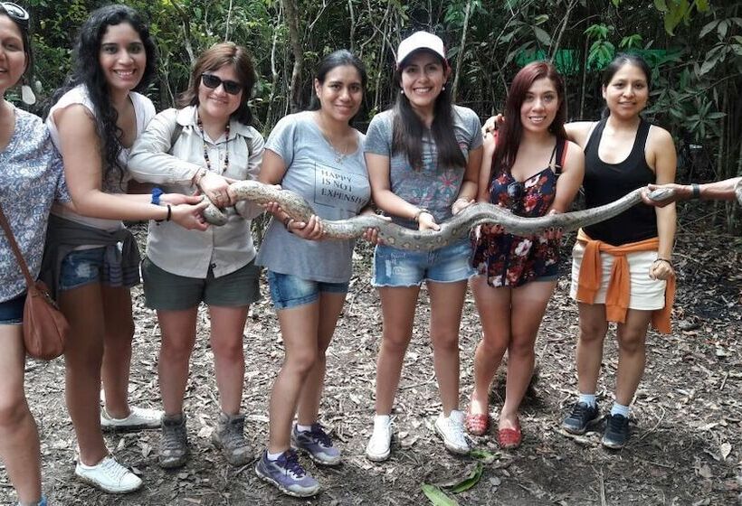 هتل Explorer Lodge