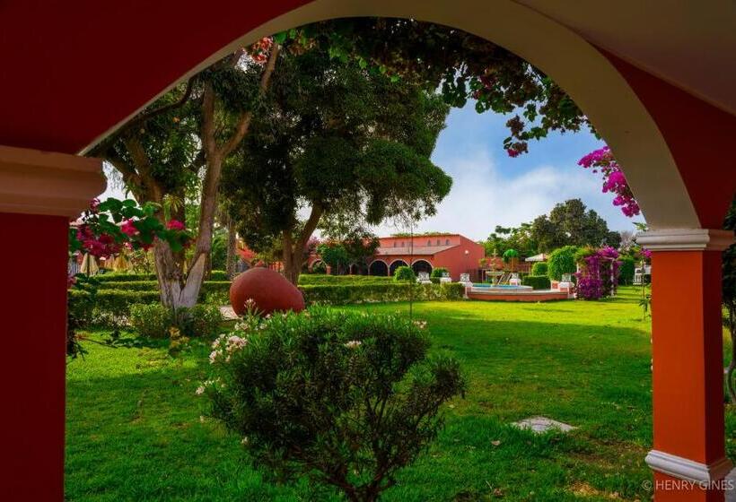 فندق Hacienda San Juan Resort