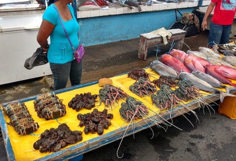 ホテル Island Accommodation Suva Premier Hospitality