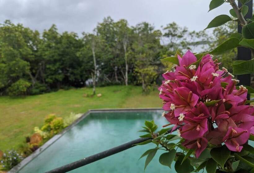 Отель Moi Koggala By Dbi   Free Drop Off To The Beach