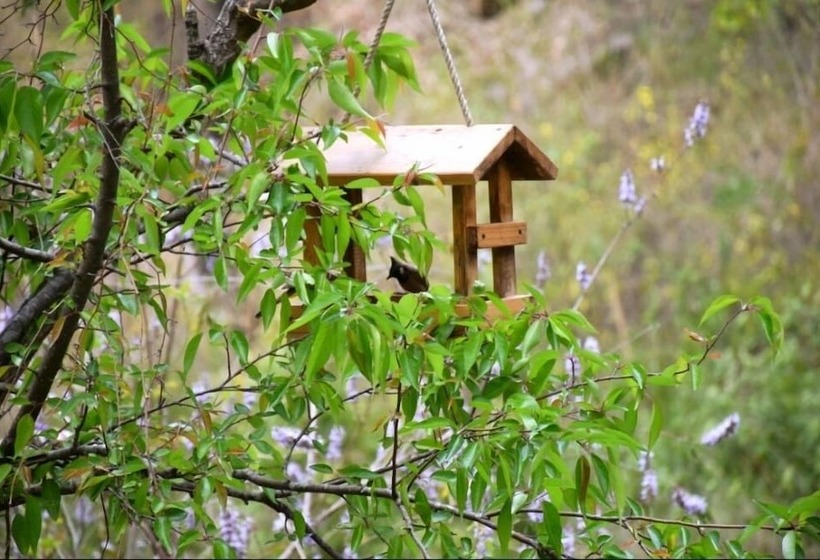 Отель Nainital River Camp