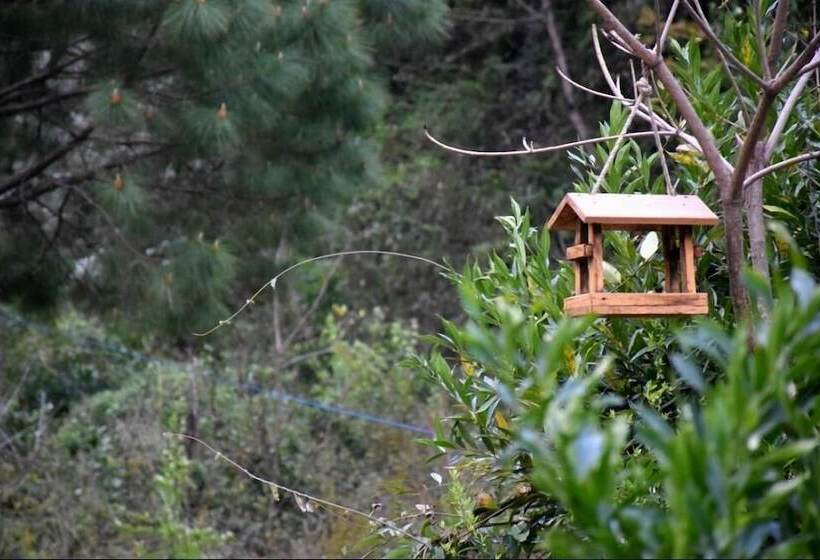 Отель Nainital River Camp
