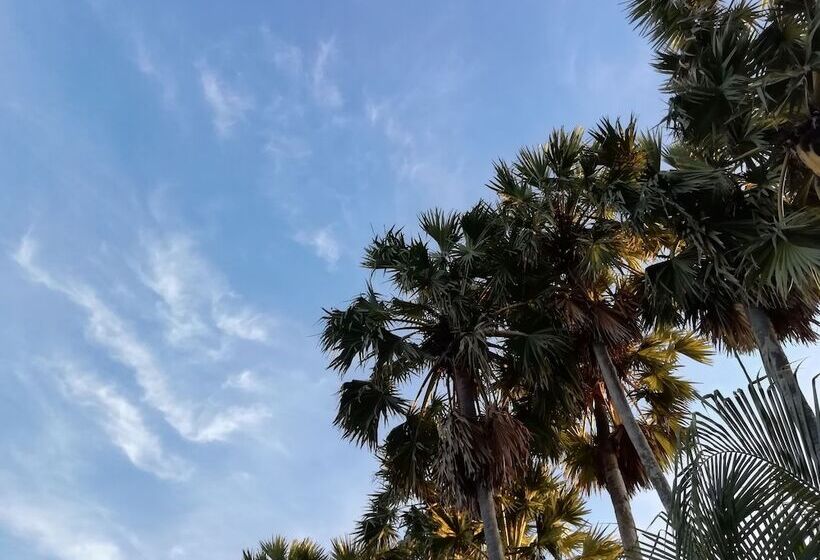 Отель Palm Payom Village Resort