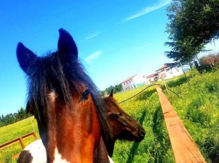 בית מלון כפרי Agriturismo Sas Pretas Latas