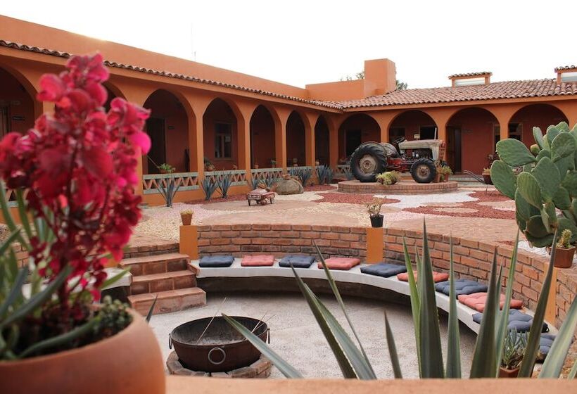 فندق Santa Martha