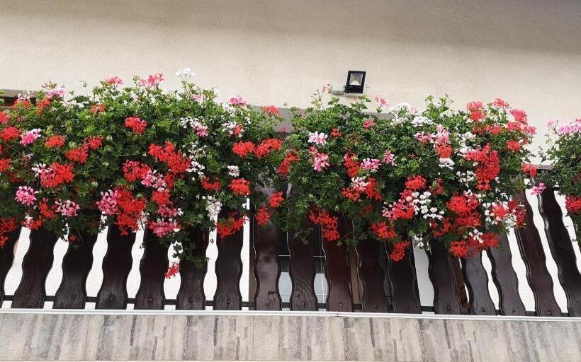 פנסיון Apartments And Rooms With Parking Space Jezerce, Plitvice   17768