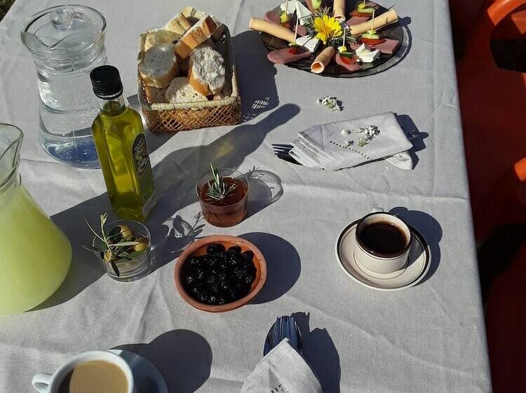 بنسيون Auberge Essanya