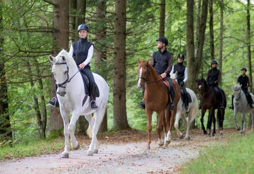 膳宿费 Chalet Balkan