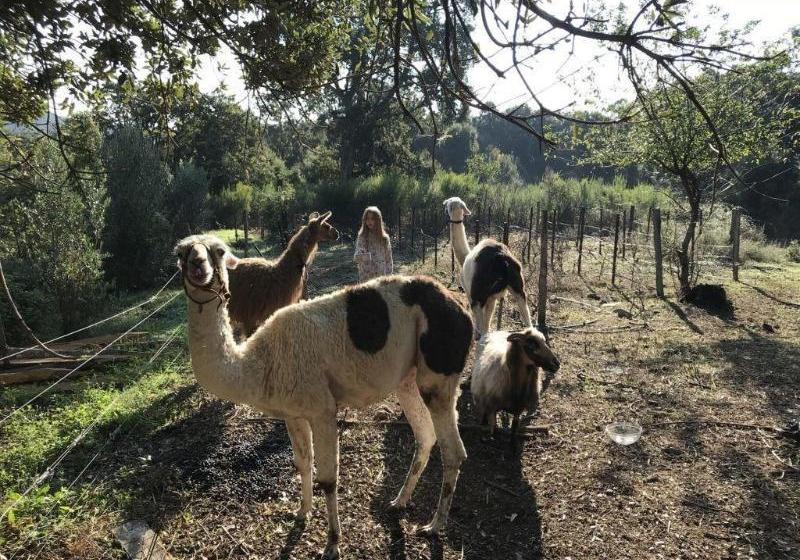 펜션 Chambres D'hotes U Licetu