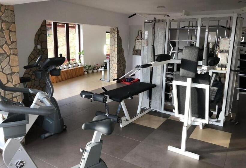 פנסיון Complex Turistic Alpina Blazna Sant