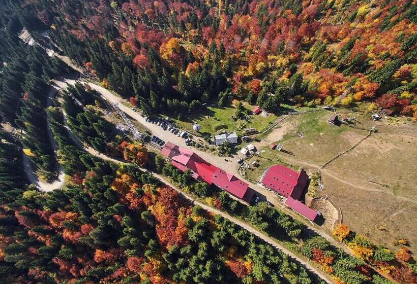 פנסיון Complex Turistic Alpina Blazna Sant