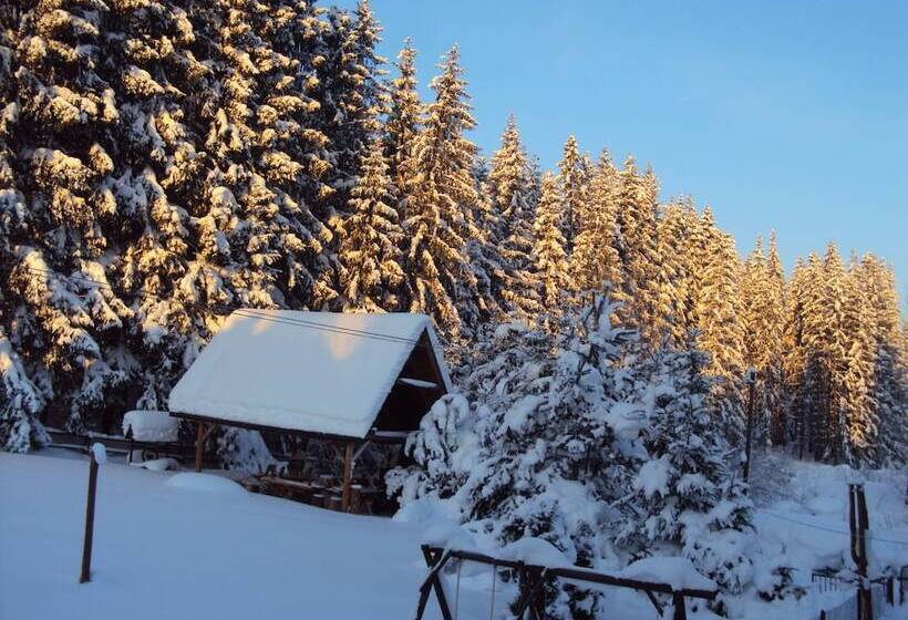 פנסיון Domlesny