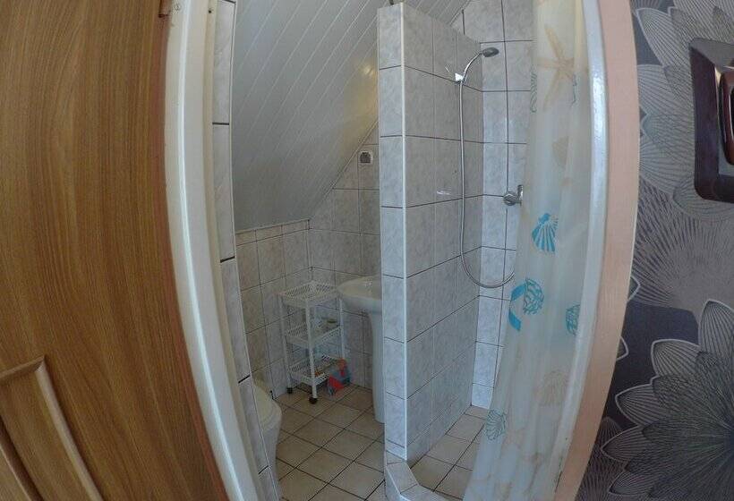 פנסיון Domlesny