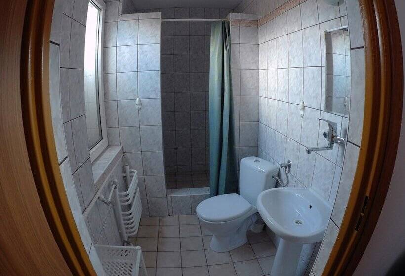 פנסיון Domlesny